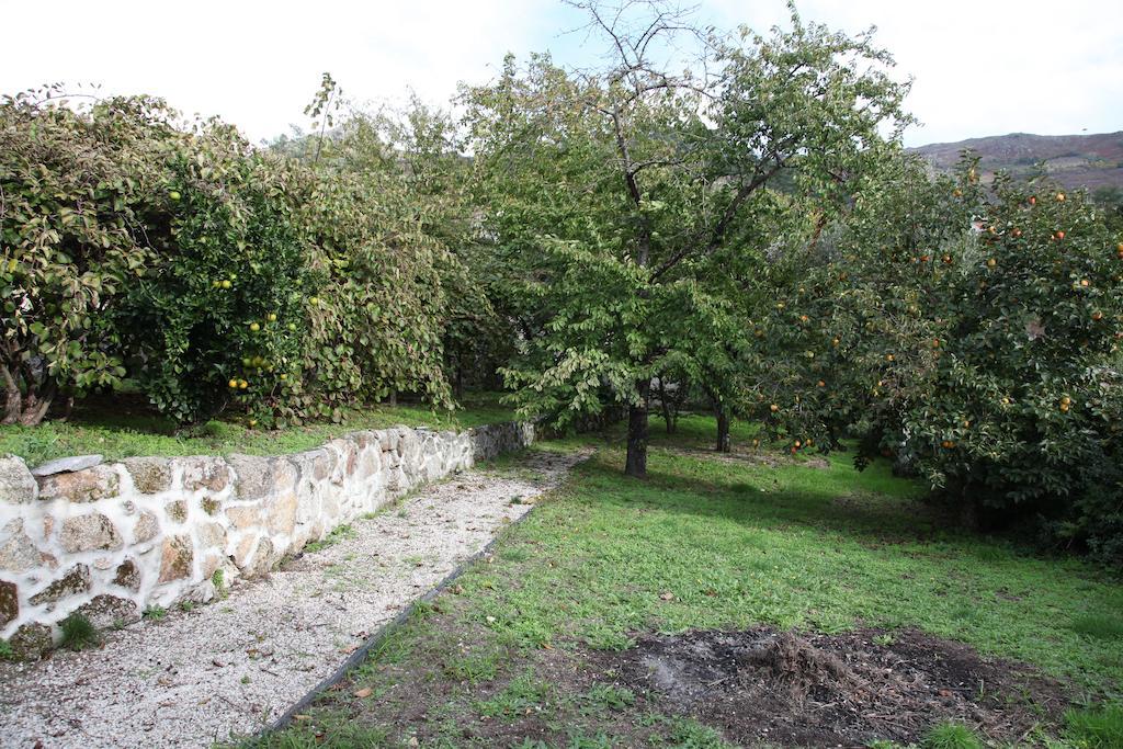Casa Cardoso Ξενοδοχείο São Martinho de Mouros Εξωτερικό φωτογραφία