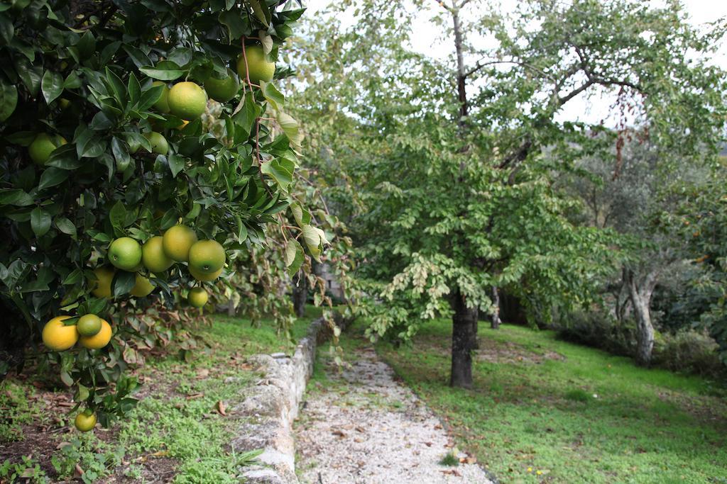 Casa Cardoso Ξενοδοχείο São Martinho de Mouros Εξωτερικό φωτογραφία